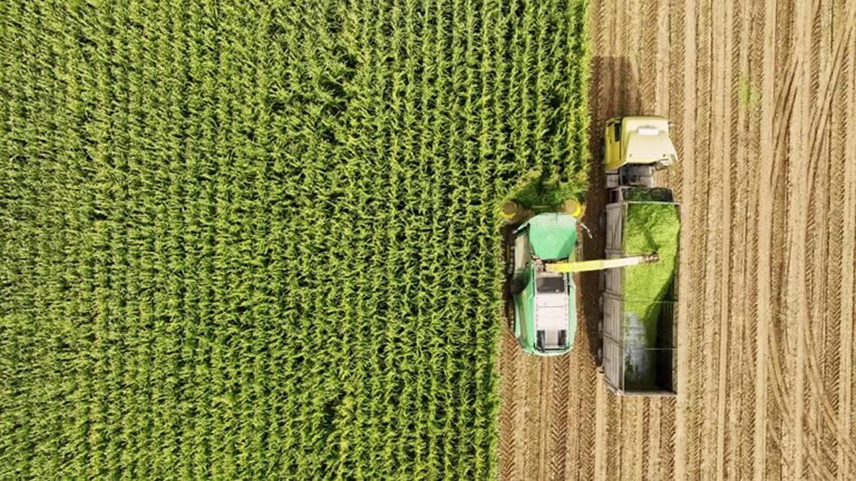 Hereford business video production