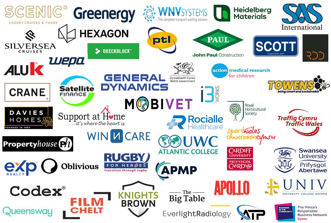 video work client logos